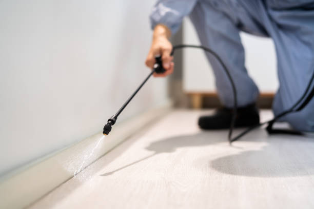 Licensed Pest Control service in Cortland, NY - Show Me Pest Control
