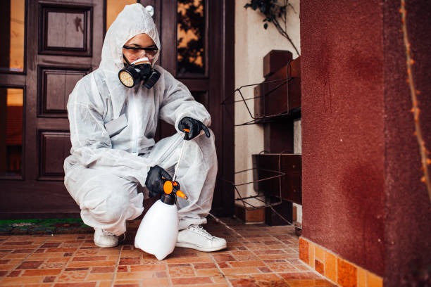 Reliable Wasp Removal contractor in Cortland, NY by Show Me Pest Control